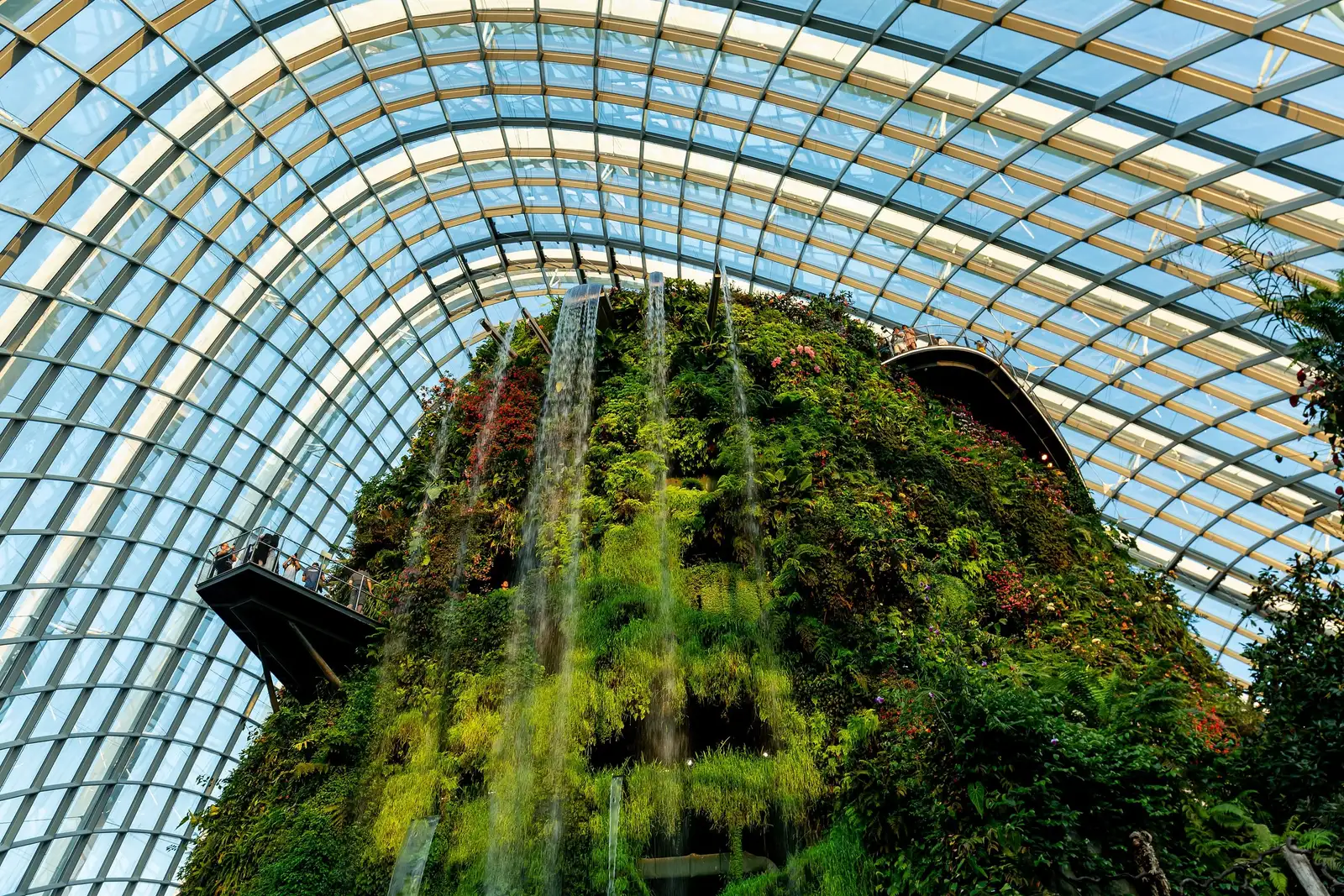 Looking up at the planted mountain inside the Cloud Forest dome: several streams of water pour down a face thick with ferns, leafy plants and red flowers, with a viewing platform jutting out on the left beneath the arched glass roof